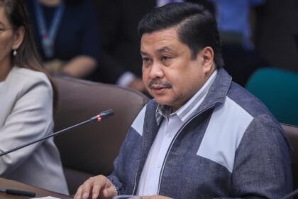 Estrada pushes measures to boost PH disaster response
