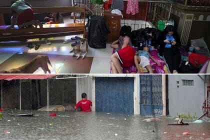 Habagat onslaught leaves 12 dead – PNP