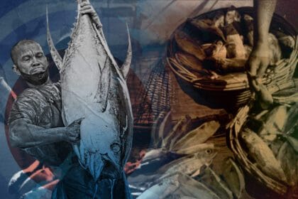 Illegal fishing, overfishing push PH fish stocks to historic lows