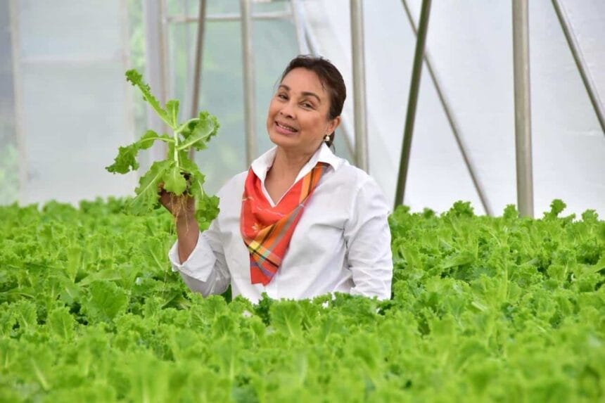 Legarda files bill to address aging agri-workforce