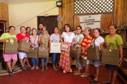 Legarda pushes bill to streamline MSME support