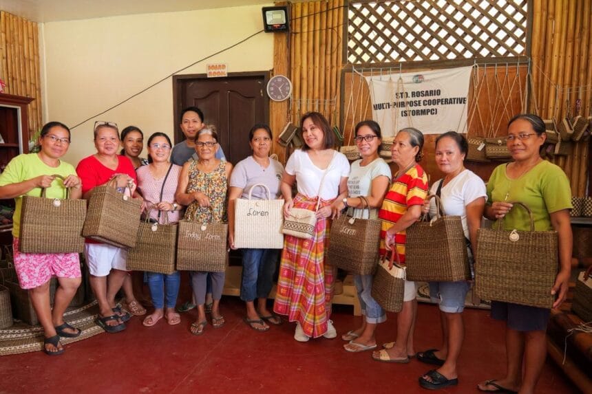 Legarda pushes bill to streamline MSME support