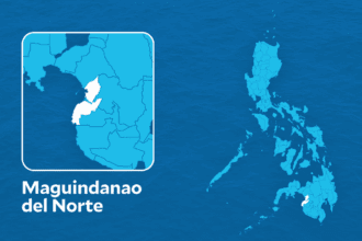 MILF suspends deactivation of remaining 14,000 combatants