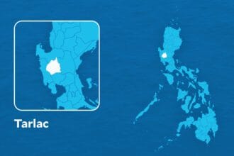 Man arrested in Tarlac for dogfighting, says CIDG-AOCU