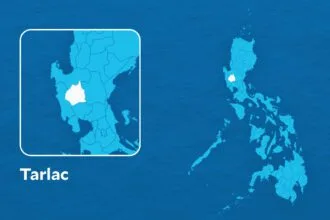 Man arrested in Tarlac for dogfighting, says CIDG-AOCU