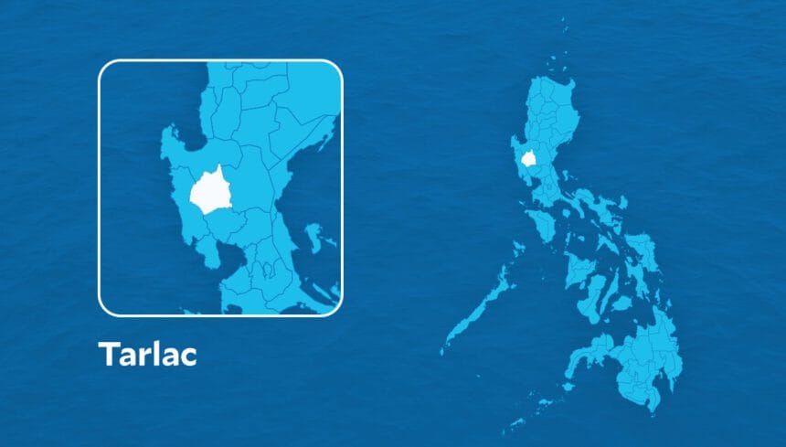 Man arrested in Tarlac for dogfighting, says CIDG-AOCU