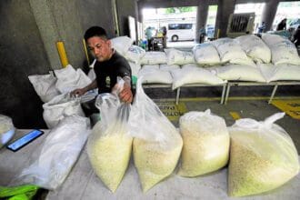 Marcos’ P20/kilo rice created much injustice for farmers – scientist