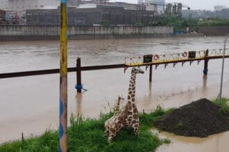 Marikina River alarm lifted as water level drops Tuesday night