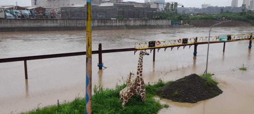 Marikina River alarm lifted as water level drops Tuesday night
