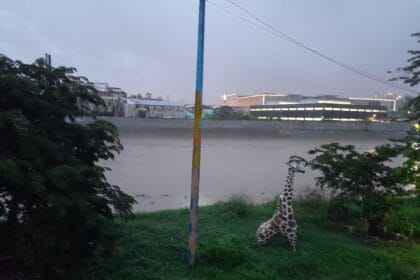 Marikina River sounds its first alarm amid incessant rains