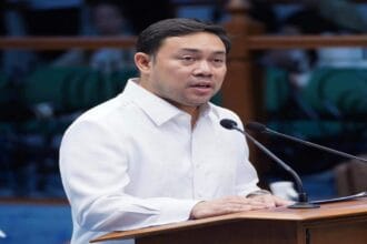 Mark Villar caps 19th Congress with major wins in legislation