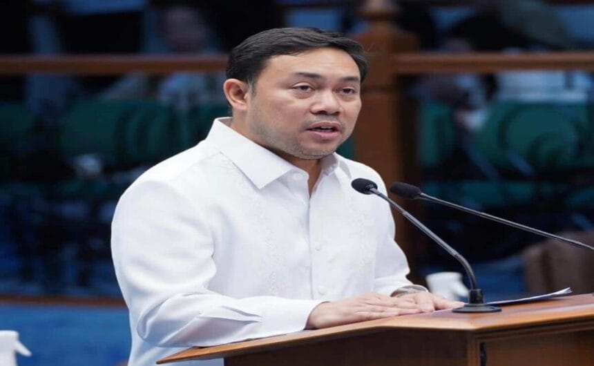 Mark Villar caps 19th Congress with major wins in legislation