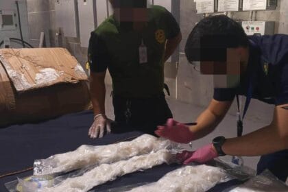PDEA seizes P20-million `party drug' shipment at Clark Freemont