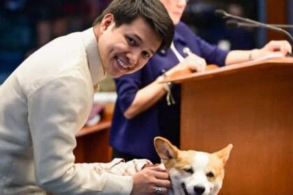 Rep. Poe files bill to strengthen animal welfare law, fix loopholes