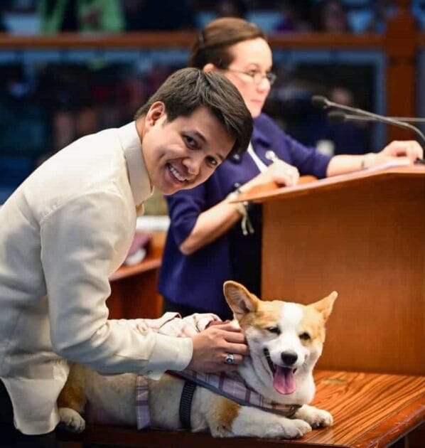 Rep. Poe files bill to strengthen animal welfare law, fix loopholes