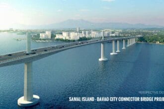 SC issues writ of kalikasan vs Samal-Davao bridge project
