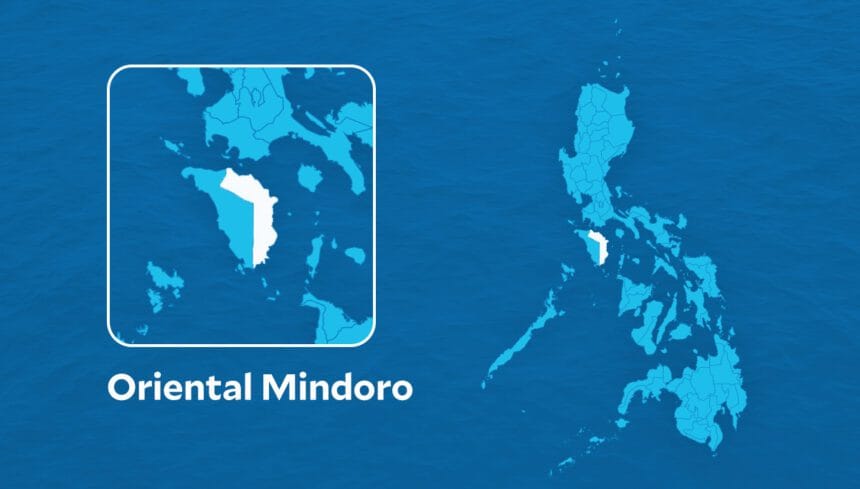 Search, rescue ongoing for man who fell off ship in Oriental Mindoro