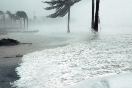 Storm surge warning up in 7 Luzon areas due to Emong