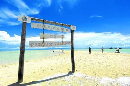 Tourism now a ‘major economic pillar’ under Marcos, says DOT