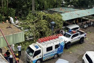 Trees uprooted by strong winds damage 3 vehicles in Iligan City