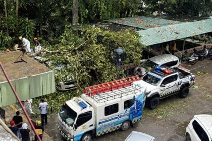 Trees uprooted by strong winds damage 3 vehicles in Iligan City