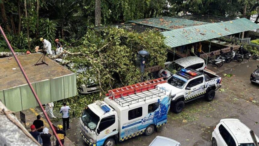 Trees uprooted by strong winds damage 3 vehicles in Iligan City