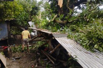 Waterspout uproots trees, damages houses in Zambales town