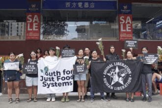 Activists mourn passing of caged animals in Manila pet stores