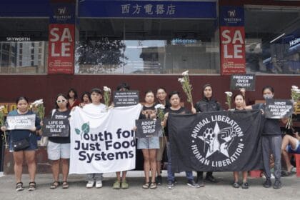 Activists mourn passing of caged animals in Manila pet stores