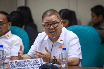 DA wants rice tariff law amendments enacted before March 2026