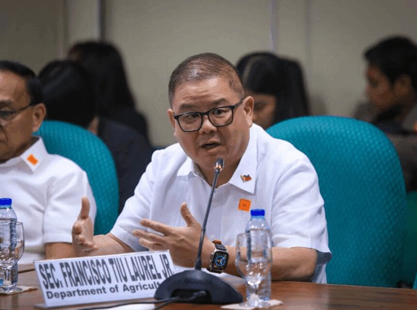 DA wants rice tariff law amendments enacted before March 2026