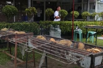In Kidapawan, durians are not just eaten raw, they are grilled