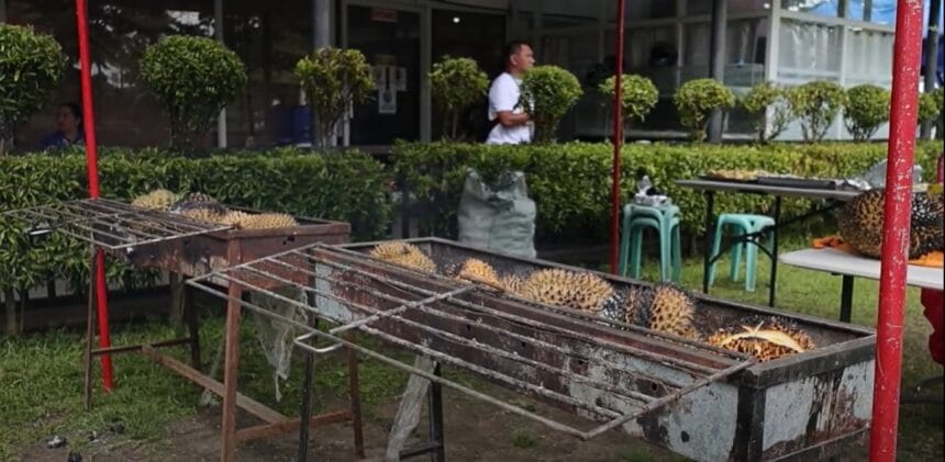In Kidapawan, durians are not just eaten raw, they are grilled