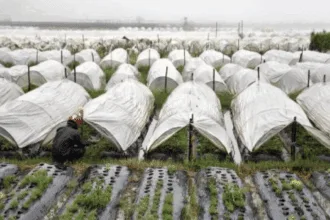 La Trinidad flood control project benefits farmers