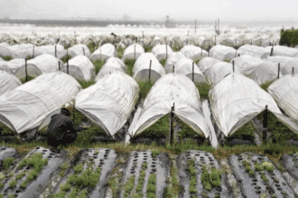 La Trinidad flood control project benefits farmers