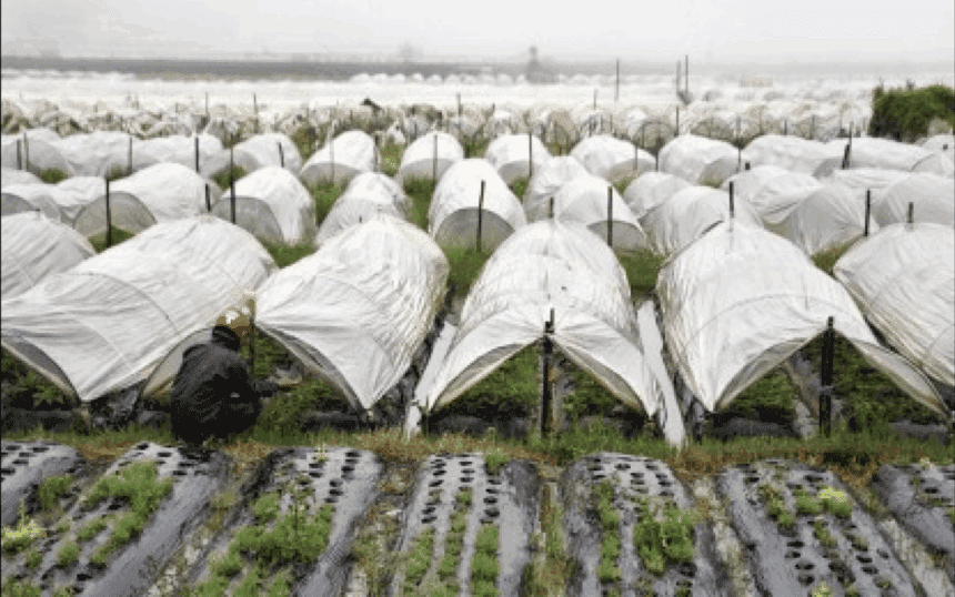 La Trinidad flood control project benefits farmers