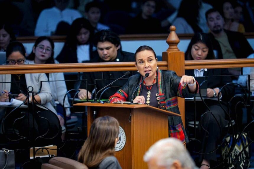 Legarda calls for immediate climate action amidst flooding crisis