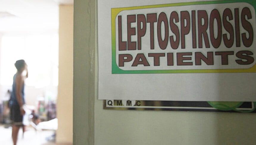 Leptospirosis deaths suggest gaps in health access – data expert