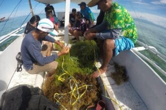 Leyte rolls out science-driven revival of seaweed industry