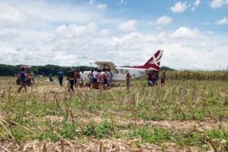 Light plane makes emergency landing at Isabela corn farm