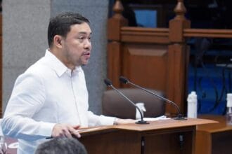 Mark Villar seeks Senate probe into soaring domestic airfare prices