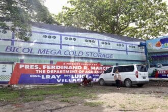 Mega cold storage facility in CamSur to aid Bicol farmers – DA