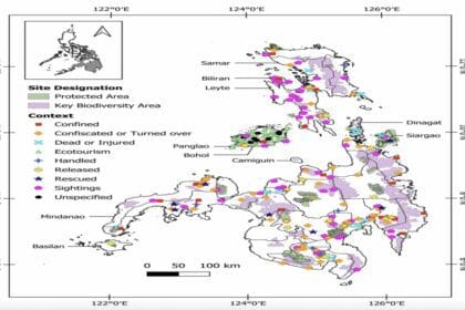 More tarsiers spotted outside safe zones – UP study