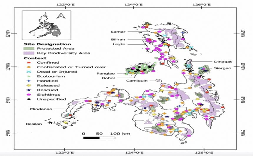 More tarsiers spotted outside safe zones – UP study