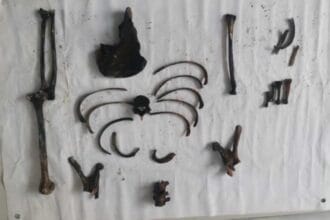 'Possible human remains' among items from Taal Lake