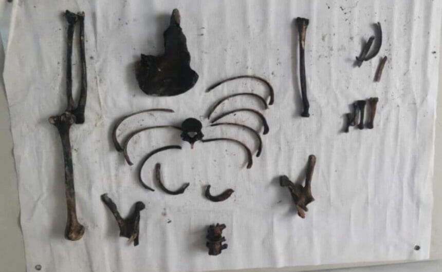 'Possible human remains' among items from Taal Lake