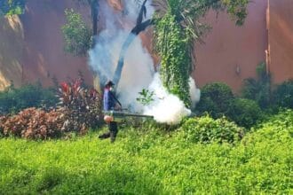 QC records over 7,000 dengue cases from January to August 2025