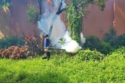 QC records over 7,000 dengue cases from January to August 2025