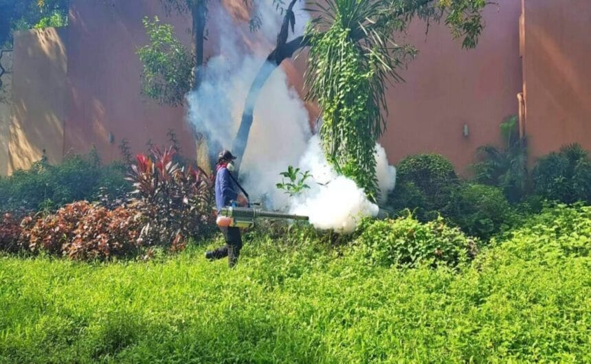 QC records over 7,000 dengue cases from January to August 2025