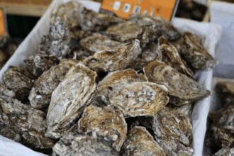 Red tide alert up in Tacloban's Cancabato Bay